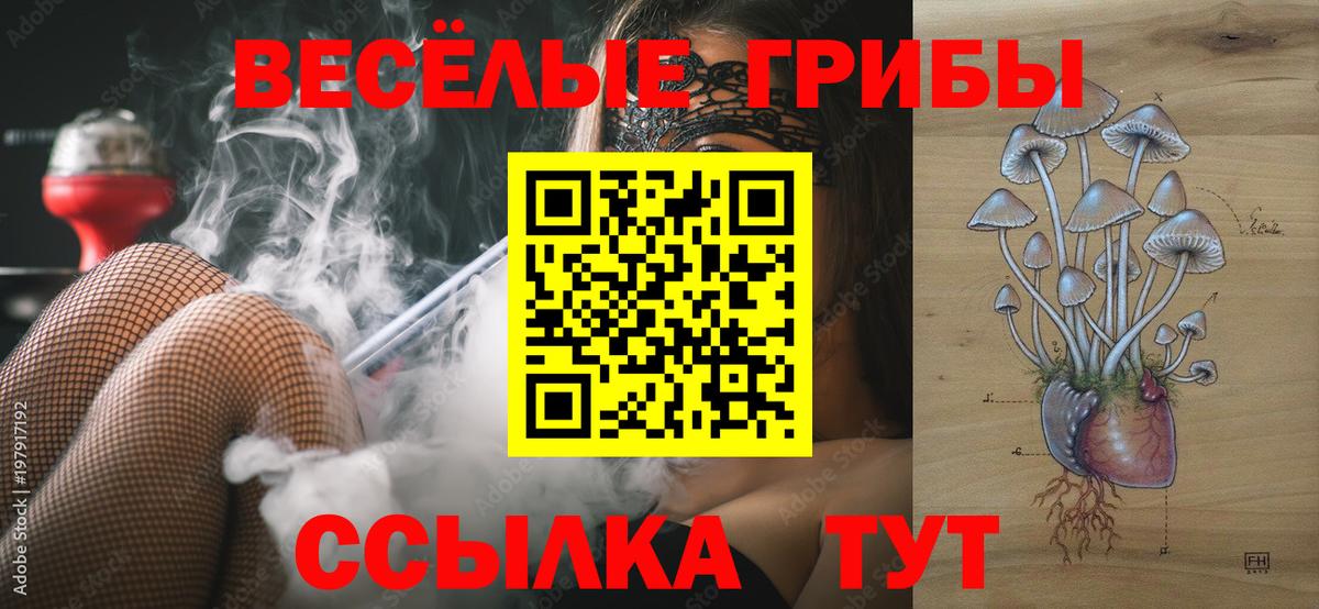 Галлюциногенные грибы Cubensis  Галлюциногенные грибы мицелий  хочу наркоту  Вход с VPN  Губкин 